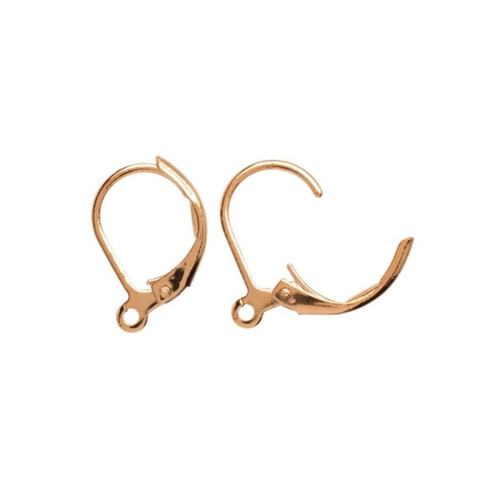 One Pair of 23K Plate Gold Fish Hook Lever Back Earring Findings